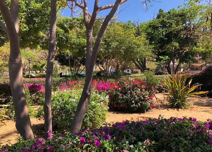Hotel Pedregal - Marina And Downtown Cabo San Lucas